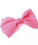 CHIFFON DOUBLE BOW HAIR CLIP